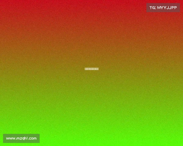 石家庄赛事直播鸽网